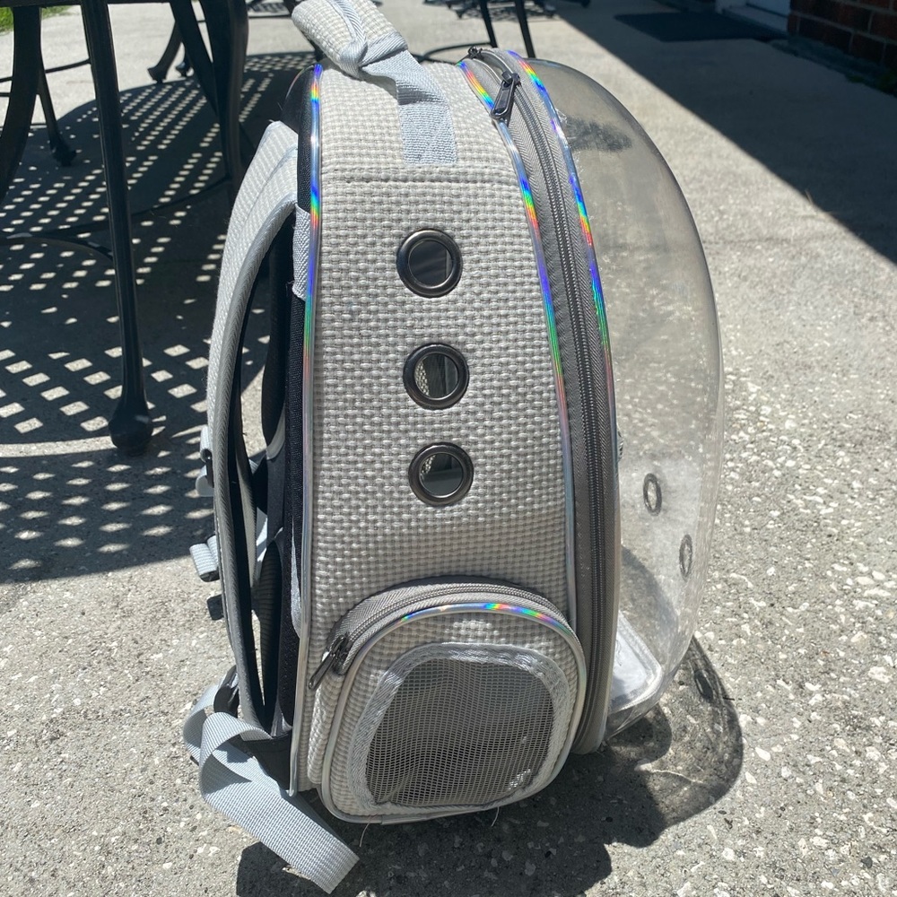Cat Backpack